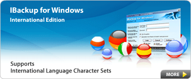 Online backup - International Edition